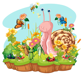 jardinpng